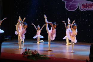 專業攝影攝像服務，定格新會最美瞬間